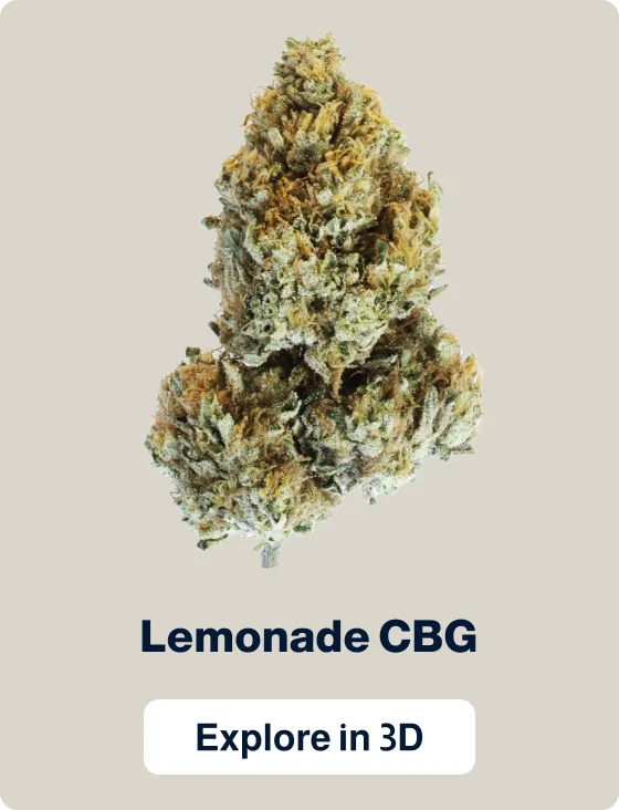 Lemonade CBG — Flowers